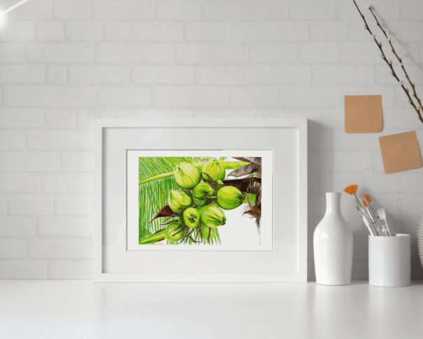 Tropical Abundance – Coconut Cluster Botanical Drawing